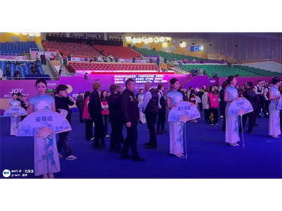 🎉 Iza kulisa: Zatišje prije oluje!